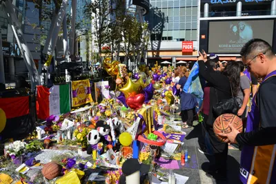 DSC_7184 (Large).JPG